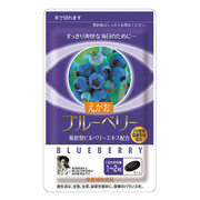 えがおのブルーベリー