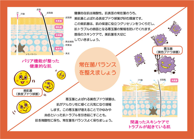 美肌菌 を大切に 菌活のすすめ Cacのブログ Cosme アットコスメ