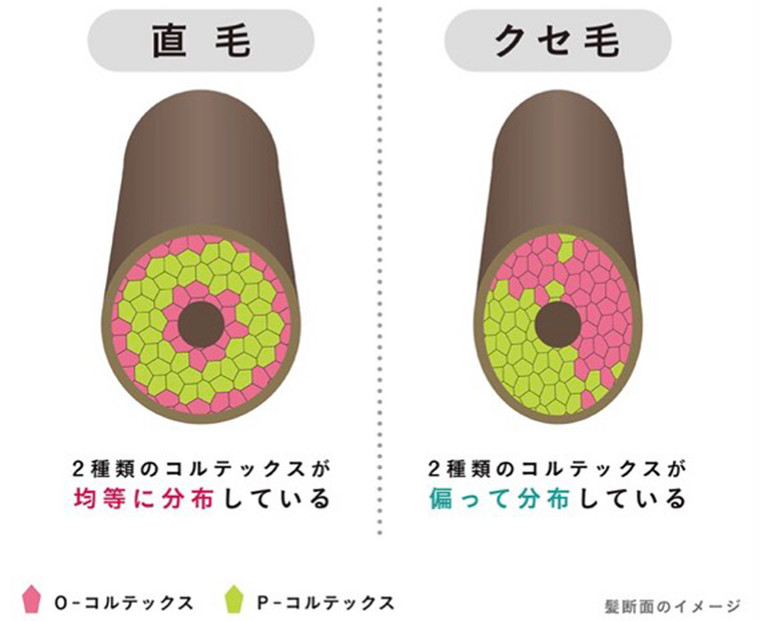 ここがスゴイ 使うたび くせ うねり髪が扱いやすくなる エッセンシャル Flat フラット の魅力 超頑固くせ毛さんもするんとまとまる 白 黒あなたはどっち ときほぐしセラムを知ってほしい Cosme アットコスメ