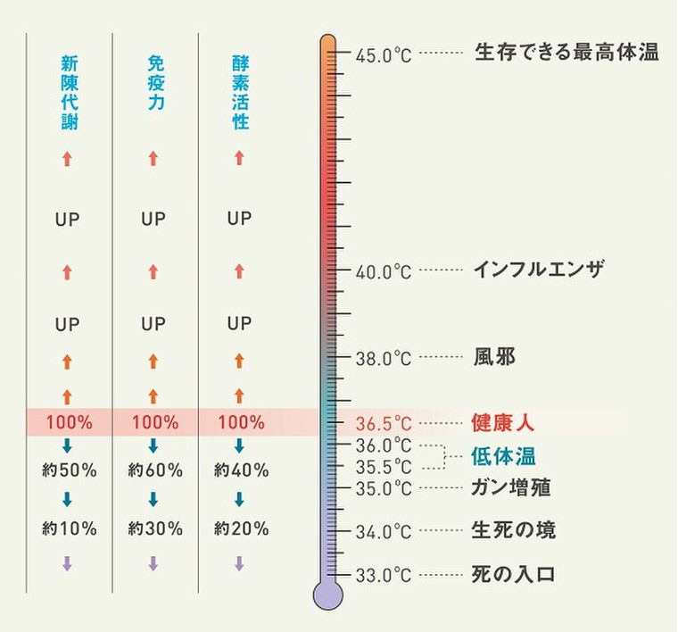 なぜ体温は３６ ５ がいいの 豆知識 Louvredoのブログ Cosme アットコスメ