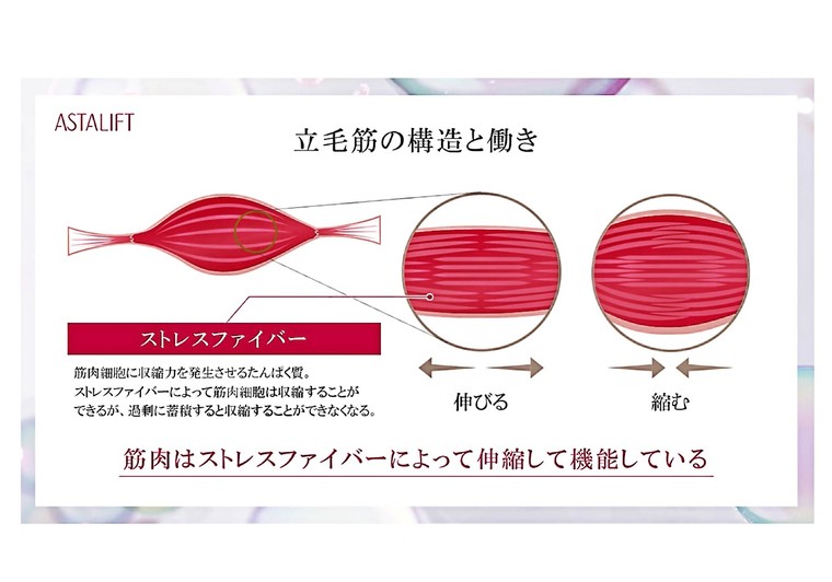 今までにない新発想で毛穴の根本ケア Astalift スパークルタイトセラム 水野 文乃さんのブログ Cosme アットコスメ