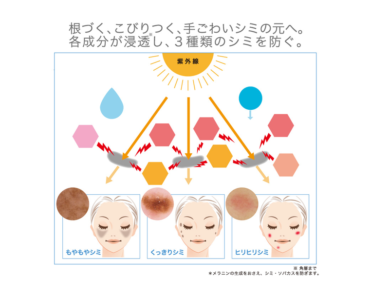 透明感と輝きのある素肌へ デイリースキンケアに シロエホワイト すべては 皮膚科学から ナノエッグ Beauty Blog Cosme アットコスメ