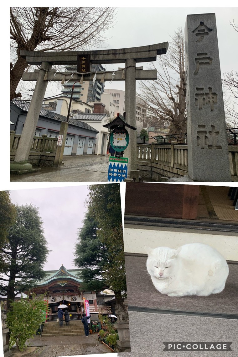 ラッキー白猫 ナミちゃん と遭遇招き猫発祥 今戸神社 Yagizaさんのブログ Cosme アットコスメ
