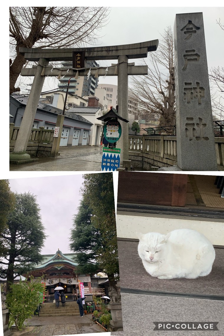 ラッキー白猫 ナミちゃん と遭遇招き猫発祥 今戸神社 Yagizaさんのブログ Cosme アットコスメ ラッキー白猫 ナミちゃん と遭遇招き猫発祥 今戸神社 Yagizaさんのブログ Cosme アットコスメ