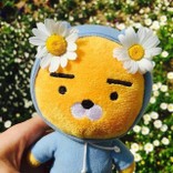 ☆imokenpi☆