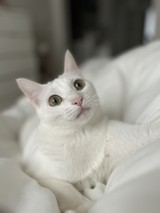 たいがーあい☆さんプロフィール画像