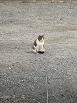 もこ王さんプロフィール画像