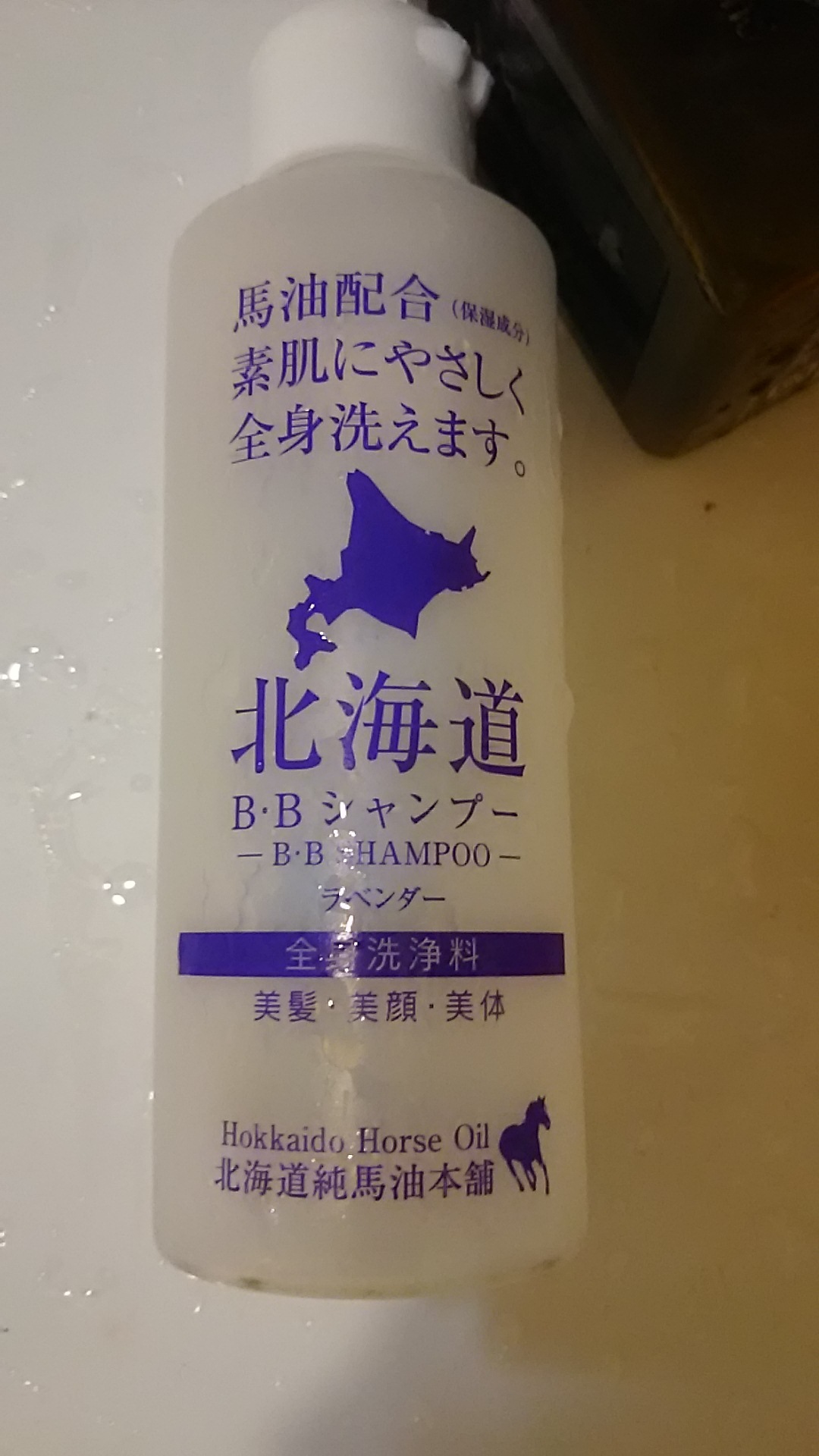 北海道 ストア bb シャンプー