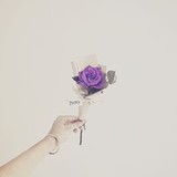 :::はるはる★。:::さんプロフィール画像