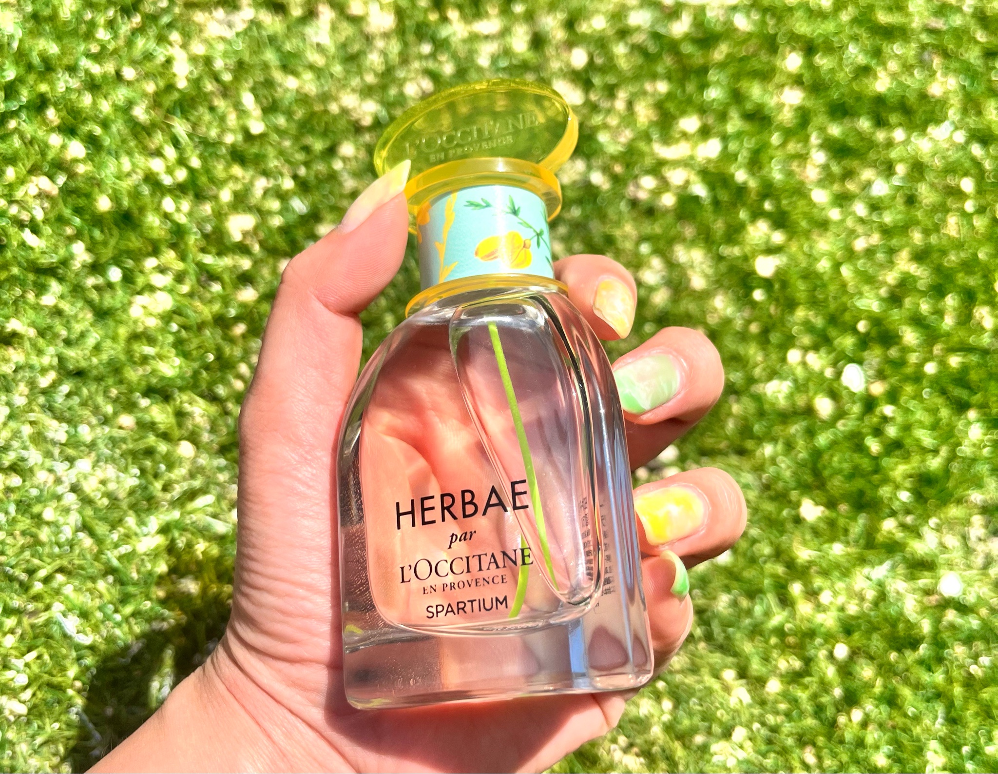 L'OCCITANE【ロクシタン】エルバガーデン オードトワレ50ml - 香水