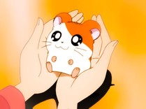 ちゃんるい◎