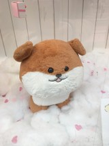 *mpmp*さんプロフィール画像