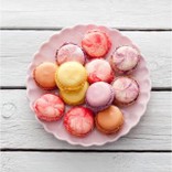 macaron-cat