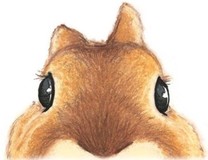 o◯まるこ◯oさんプロフィール画像