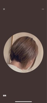 アリナ95