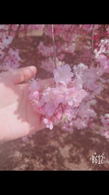 姫歌♪～さんプロフィール画像