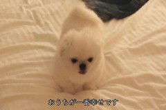 ゆだもちさんプロフィール画像