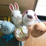 ウェスト