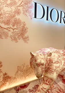 Dior Dior Color Fantasia バティさんのブログ Cosme アットコスメ Dior Dior Color Fantasia バティさんのブログ Cosme アットコスメ