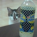 Chiristina.A