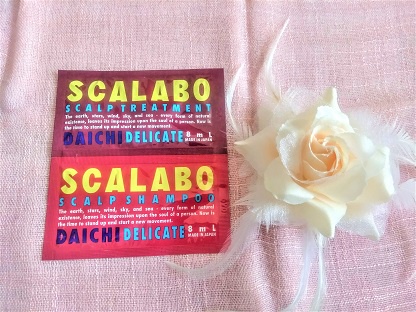 スカラボ / 薬用スカルプシャンプー/トリートメント DAICHIの公式商品 ...