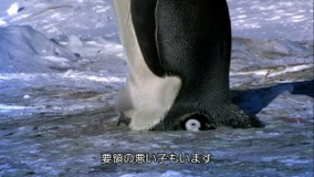 ほにゃみそさんプロフィール画像