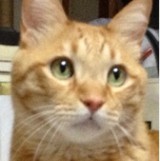 冷水山めろんさんプロフィール画像