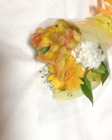 パンみさんプロフィール画像