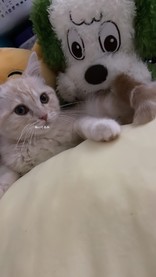 Kicky