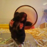 Chika^^*