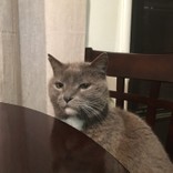 ::あかり::