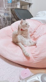 さき061403