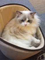 ♪なー♪･☆ﾟ:*:ﾟ