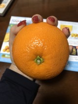 annninさんプロフィール画像