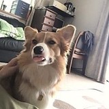 ※ちょちょ※さんプロフィール画像