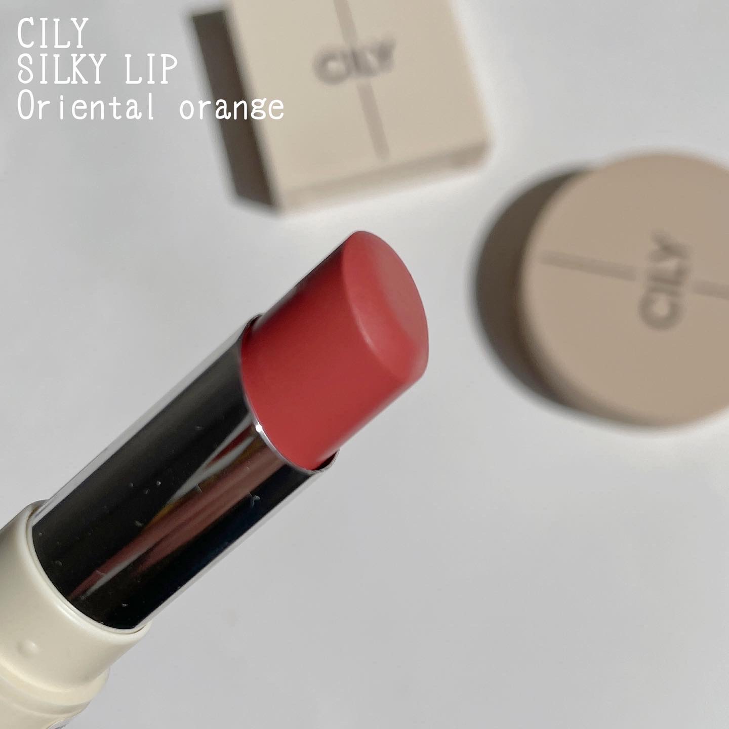 CILY / CILY SILKY LIP #NOIR NUDEの公式商品情報｜美容・化粧品情報は