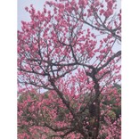 えっそーなの？