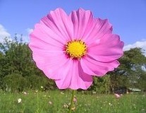 ★happyhappy★さんプロフィール画像
