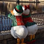 くぅたそ･☆ﾟ:*:ﾟ