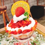 しおあじのあめ。