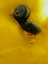 まままままーまま
