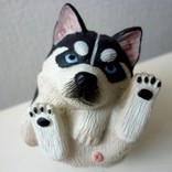 ついにゃん