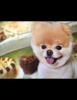 happy--yukinko--lovely