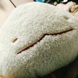 緑茶(o^-)bさんプロフィール画像
