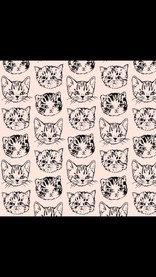 さよちゃん...♪*ﾟ