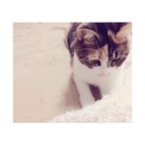 ねえさん☆★さんプロフィール画像