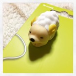 わかめめめ