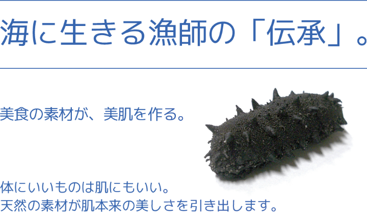 最も人気のある なまこ 画像 無料ダウンロードpng画像 最も人気のある なまこ 画像 無料ダウンロードpng画像
