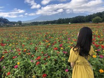 みっつきさんプロフィール画像