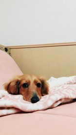 オハナ☆